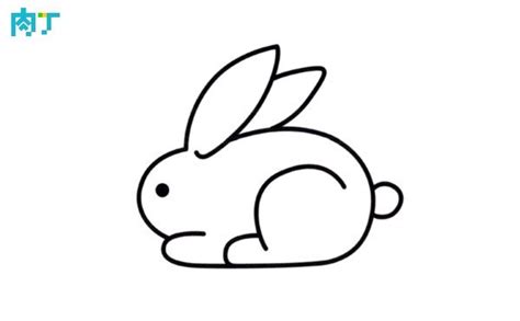 兔子簡單畫法